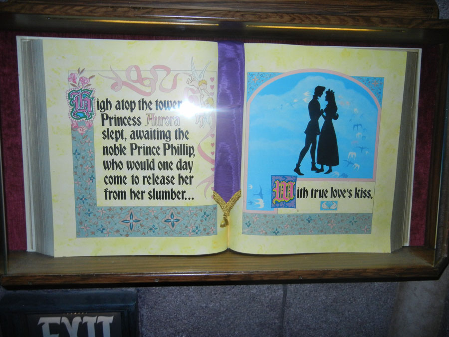 Disneyland Fantasyland Castle Picture